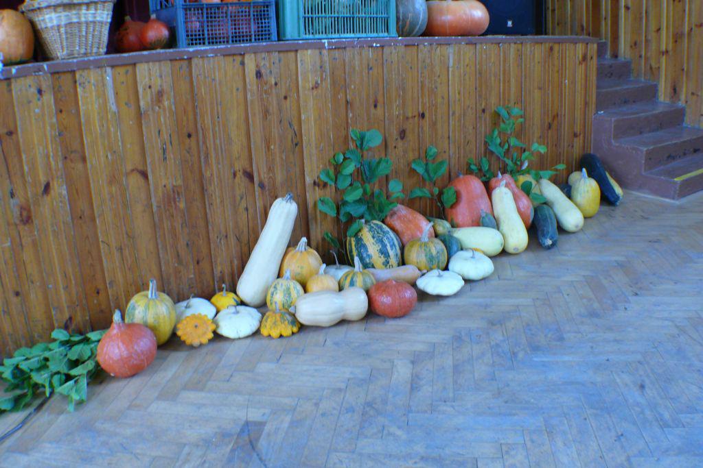 Fotogaléria Jesenné šantenie 2015 (138) Jesenné šantenie 2015